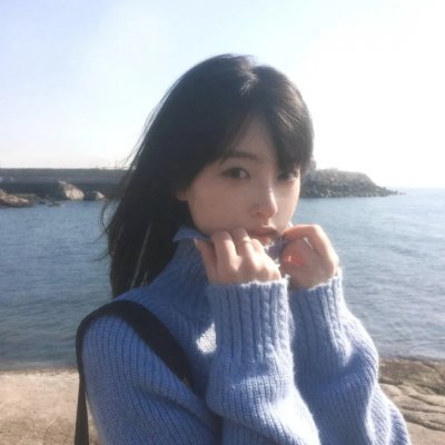 燕子盗